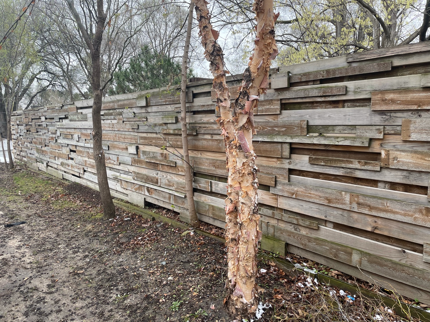 Custom horizontal-slat wood fence built by Aaron Brand