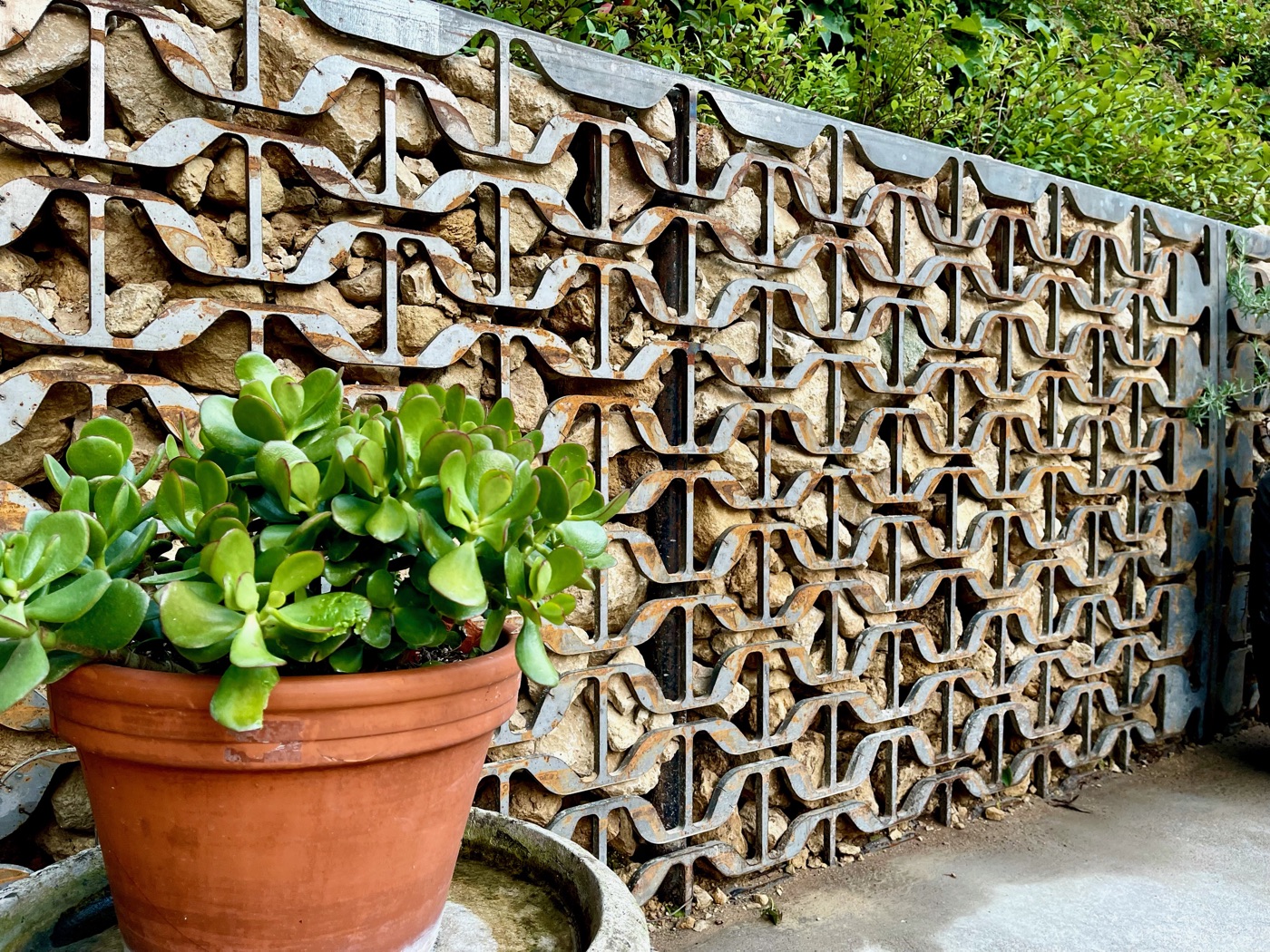 Potted planting against a salvaged-metal screen in a refreshed garden